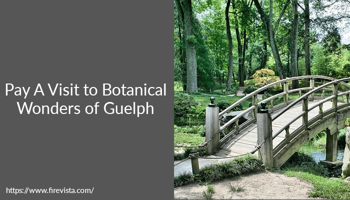 Pay A Visit to Botanical Wonders of Guelph