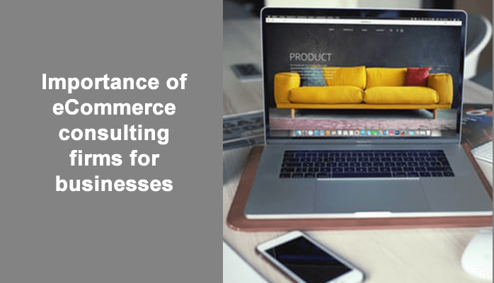 Importance of eCommerce consulting firms for businesses