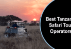 Best Tanzania Safari Tour Operators
