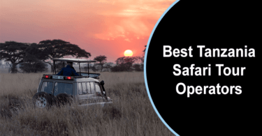 Best Tanzania Safari Tour Operators