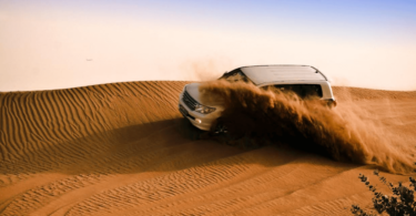 All about Morning Desert Safari in Dubai - Best Experience Ever!